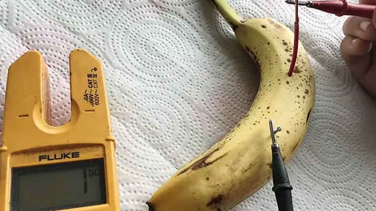 can we produce electricity with banana 