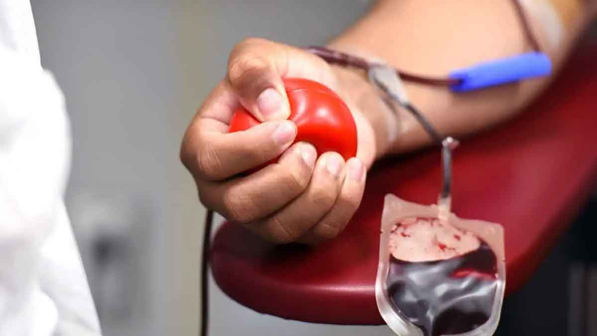 you can easily lose weight if you donate blood 