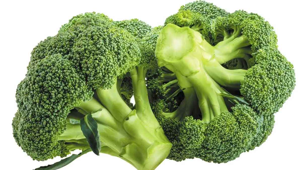 amazing health benefits of broccoli must take it 