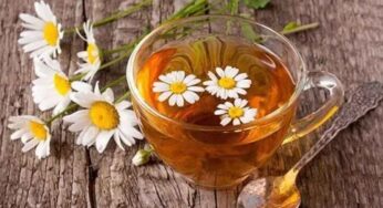 Chamomile Tea : ఈ పూలతో చేసిన టీ గురించి మీకు తెలుసా..? దీన్ని తాగితే ఎన్ని లాభాలు ఉన్నాయో చూడండి!