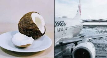 Coconut In Aeroplan : కొబ్బ‌రికాయ‌ల‌ను విమానంలో తీసుకెళ్ల‌కూడ‌దా..? ఎందుకు..?