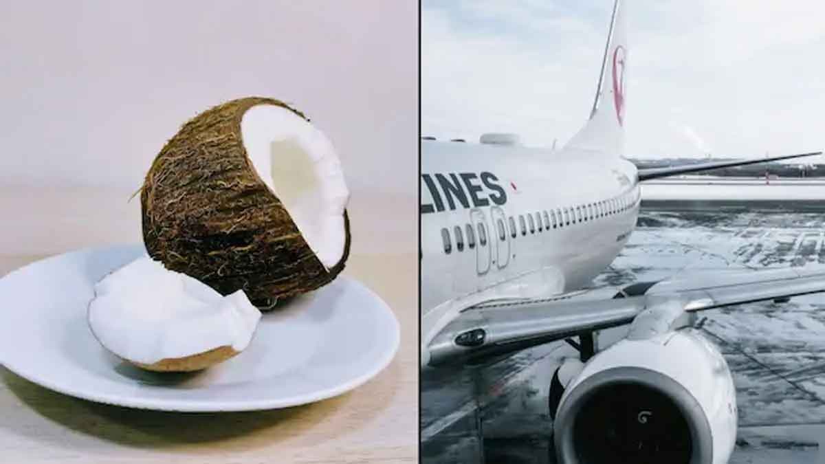 can we take coconut in aeroplanes 