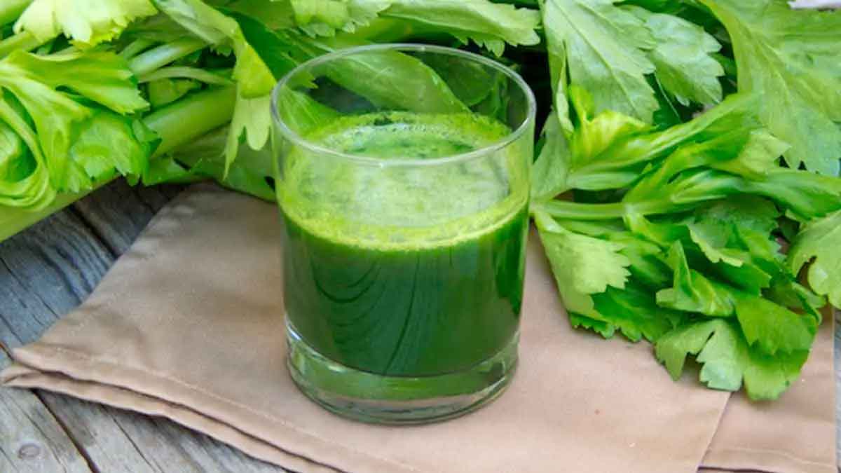 Coriander Leaves Juice many wonderful health benefits 