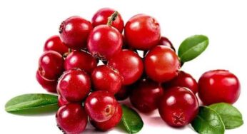 Cranberries : ఈ పండ్లు ఎక్క‌డ క‌నిపించినా విడిచిపెట్ట‌కుండా తెచ్చుకుని తినండి..!