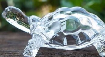 Crystal Turtle : మీ ఇంట్లో ఈ వ‌స్తువును ఈ దిశ‌లో పెట్టండి.. ఇల్లంతా ధ‌నంతో నిండిపోతుంది..!