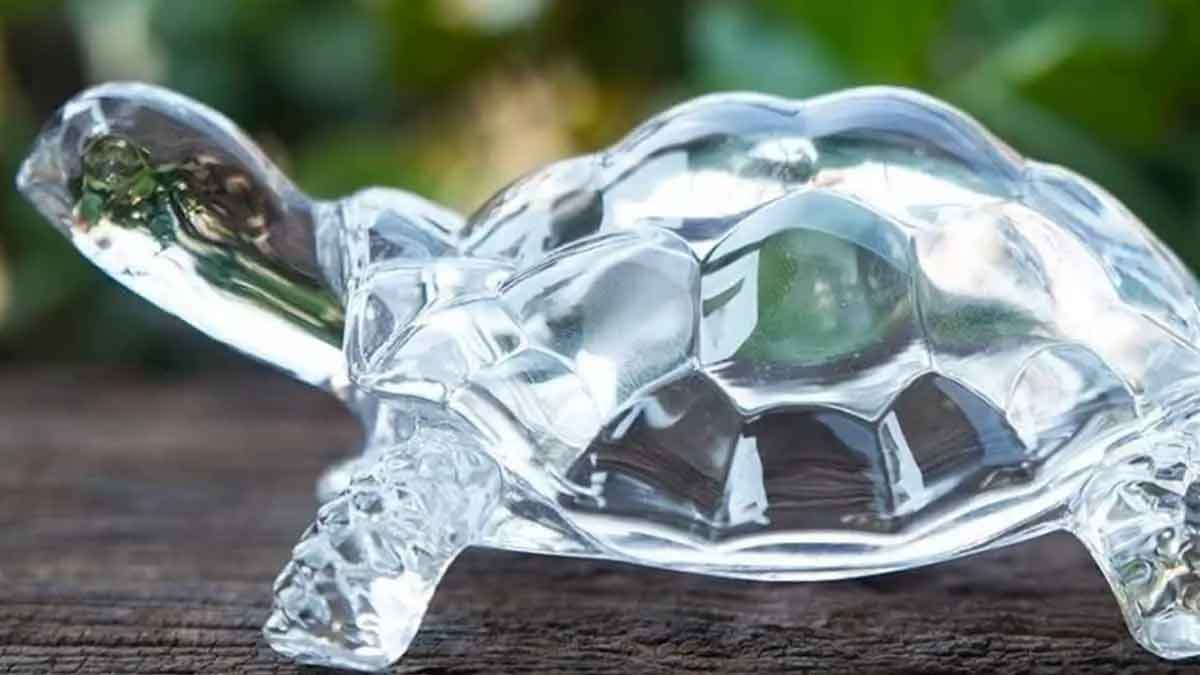 put crystal turtle in your home for luck and wealth 