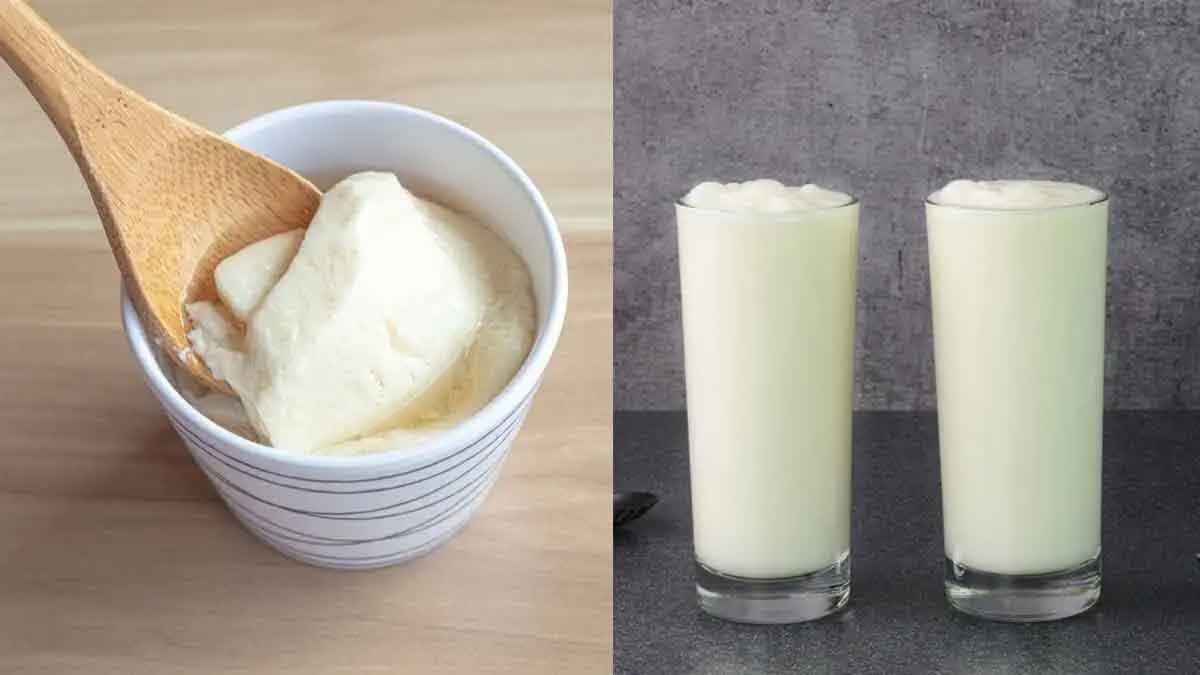 curd or buttermilk which one is better for weight loss 