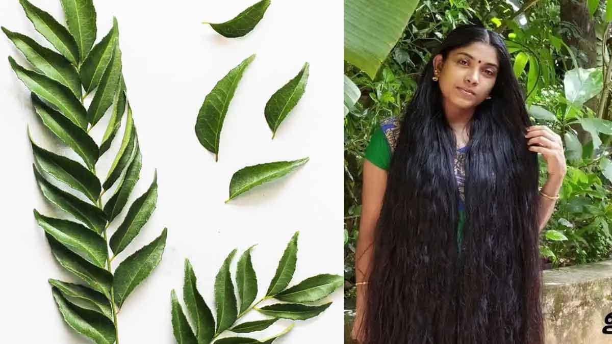 Curry Leaves For Hair Growth use them in this way 