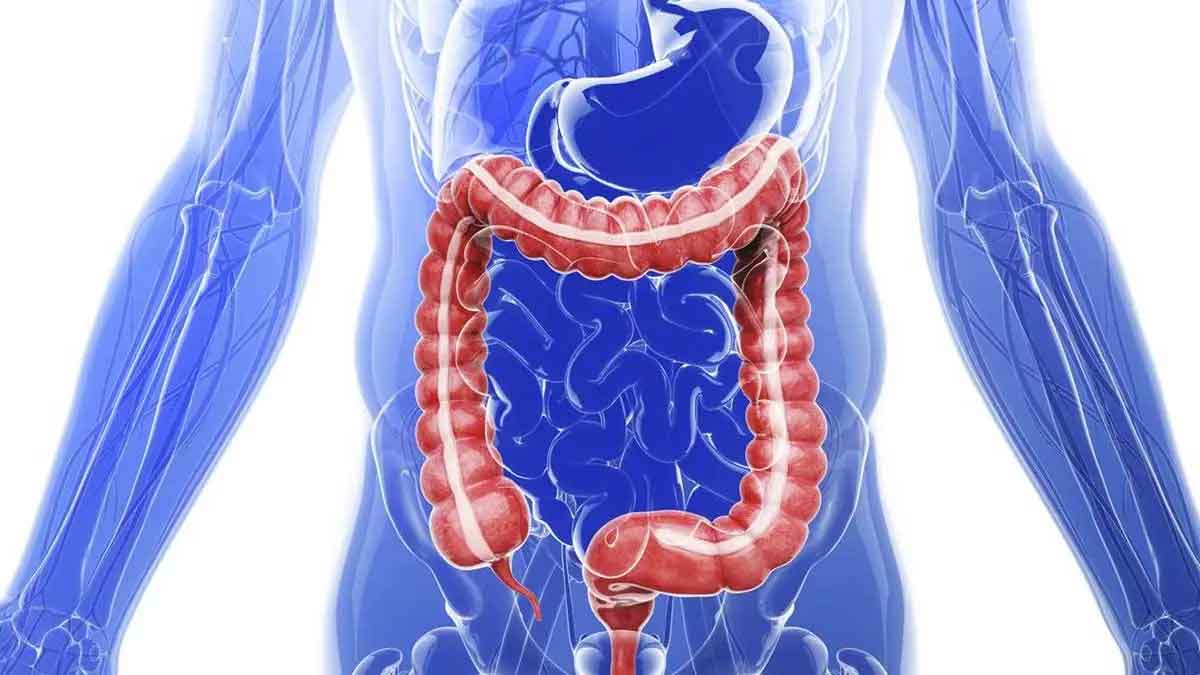 people will do these mistakes to digestive system 