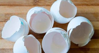 Egg Shells Benefits : కోడిగుడ్లే కాదు.. వాటి పెంకుల‌తోనూ ఎన్నో ప్ర‌యోజ‌నాలు ఉన్నాయి..!