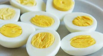 Eggs : కోడిగుడ్డు శాకాహార‌మా.. మాంసాహార‌మా..?