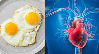 Eggs For Heart : కోడిగుడ్డును రోజూ ఒక్క‌టి తింటే గుండెకు చాలా మంచిది.. ఎలాగో తెలుసా..?