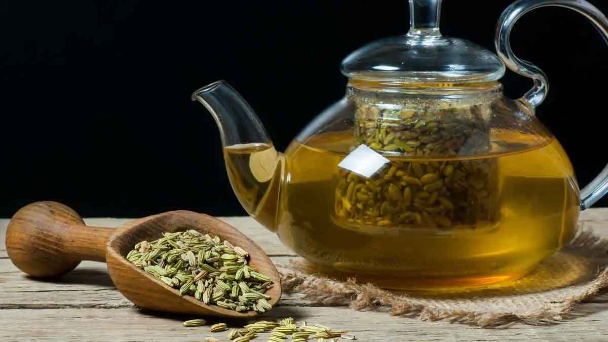 many wonderful health benefits of fennel seeds water on empty stomach 