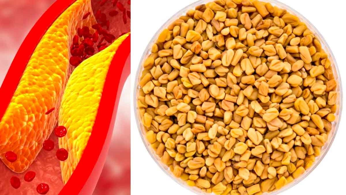 you can reduce cholesterol with fenugreek seeds for low cost 