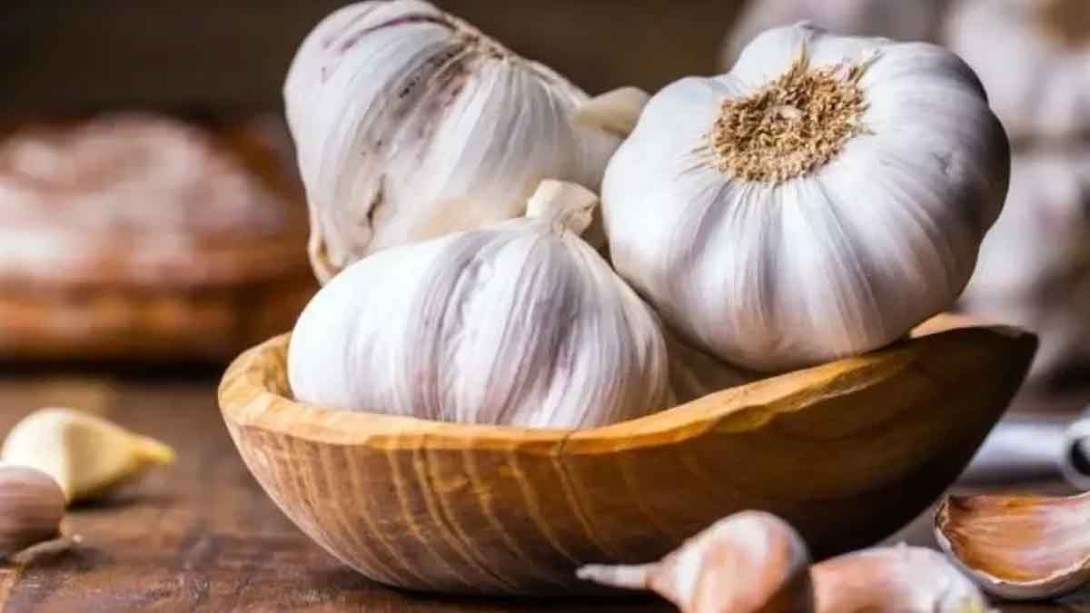 can cancer be prevented if you take garlic 