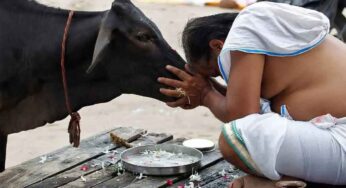 Gomatha : రోజూ గోమాత‌ను ఇలా పూజించండి.. ఏం కోరుకున్నా నెర‌వేరుతుంది..!