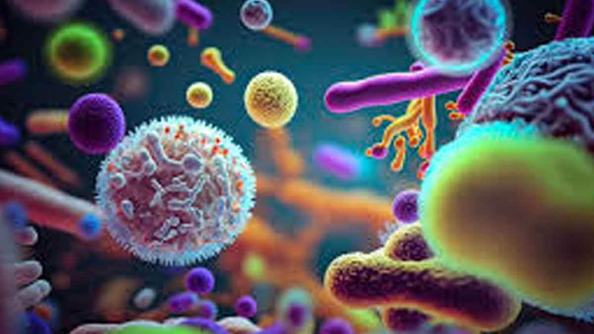 do you know about good bacteria in our gut 