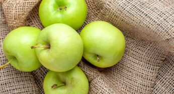 Green Apple : గ్రీన్ యాపిల్ ఎప్పుడైనా తిన్నారా.. దీనిలో ఉన్న రహస్యం తెలిస్తే రోజూ తింటారు..!