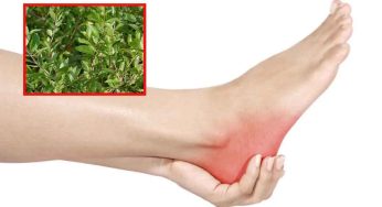 Heel Pain : మ‌డ‌మ‌ల నొప్పి ఇబ్బందుల‌కు గురి చేస్తుందా.. ఇలా చేస్తే నొప్పి పూర్తిగా త‌గ్గుతుంది..