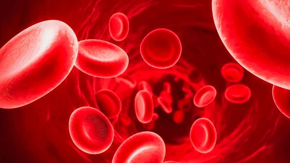 these hemoglobin foods take for cure of anemia 