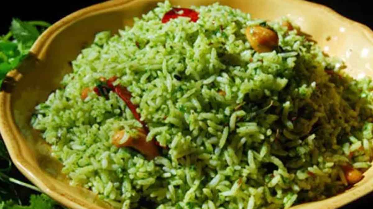 how to make kothimeera rice know the recipe 