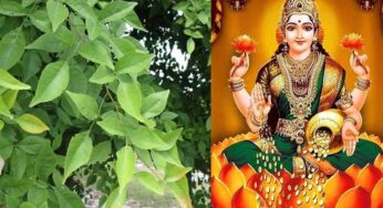 Lakshmi Devi Blessings : ల‌క్ష్మీదేవి అనుగ్ర‌హం ఉండాలంటే ఇంటి ముందు ఈ చెట్ల‌ను పెంచాల్సిందే..!