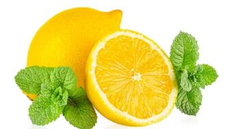 Lemon And Mint : పుదీనా, నిమ్మ‌రసం క‌లిపి తీసుకుంటే.. ఊహించ‌ని లాభాలు..!