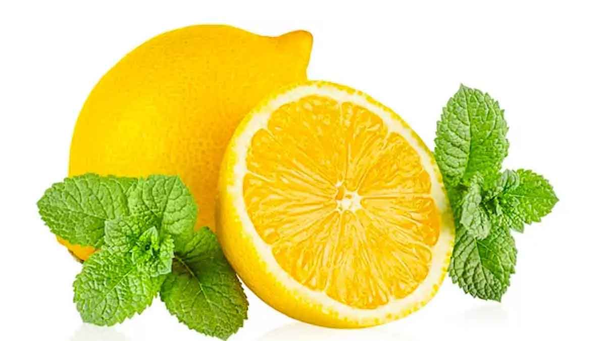 lemon and pudina many wonderful health benefits 