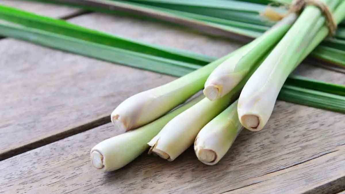 many wonderful health benefits of lemon grass 