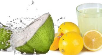 Coconut Water And Lemon : నిమ్మకాయ, కొబ్బరినీరు.. రెండింట్లో ఆరోగ్యానికి ఏది ఉపయోగపడుతుంది..?