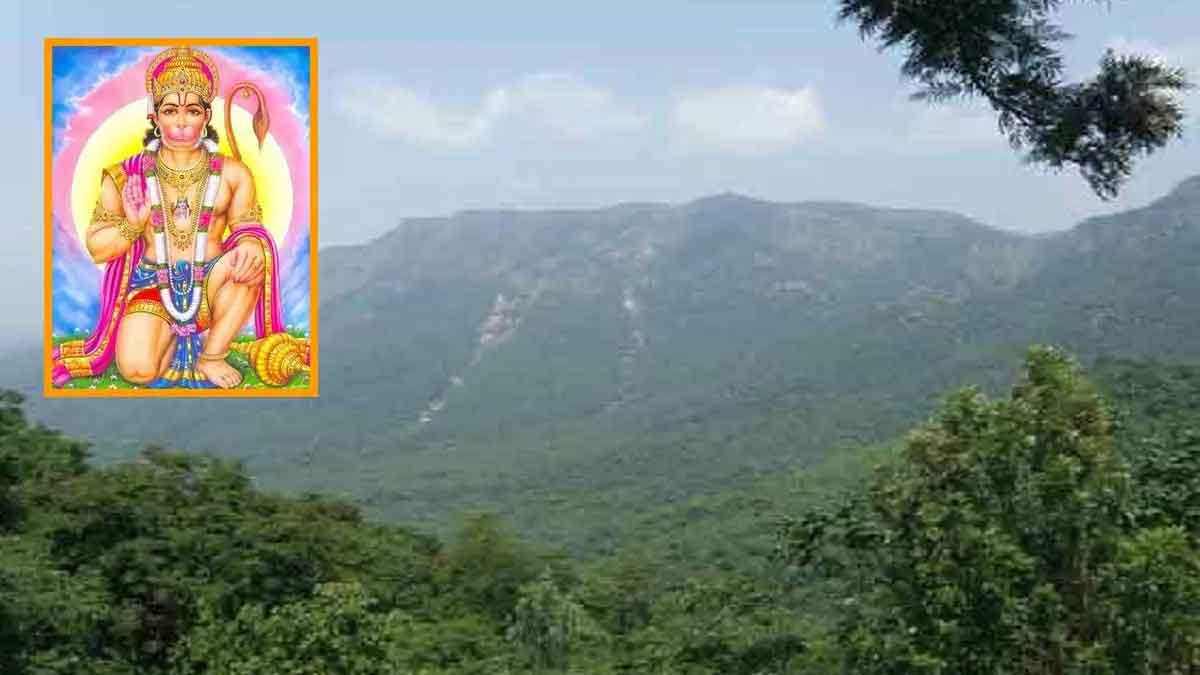 lord hanuman is still on Gandhamadan Parvat know where it is 