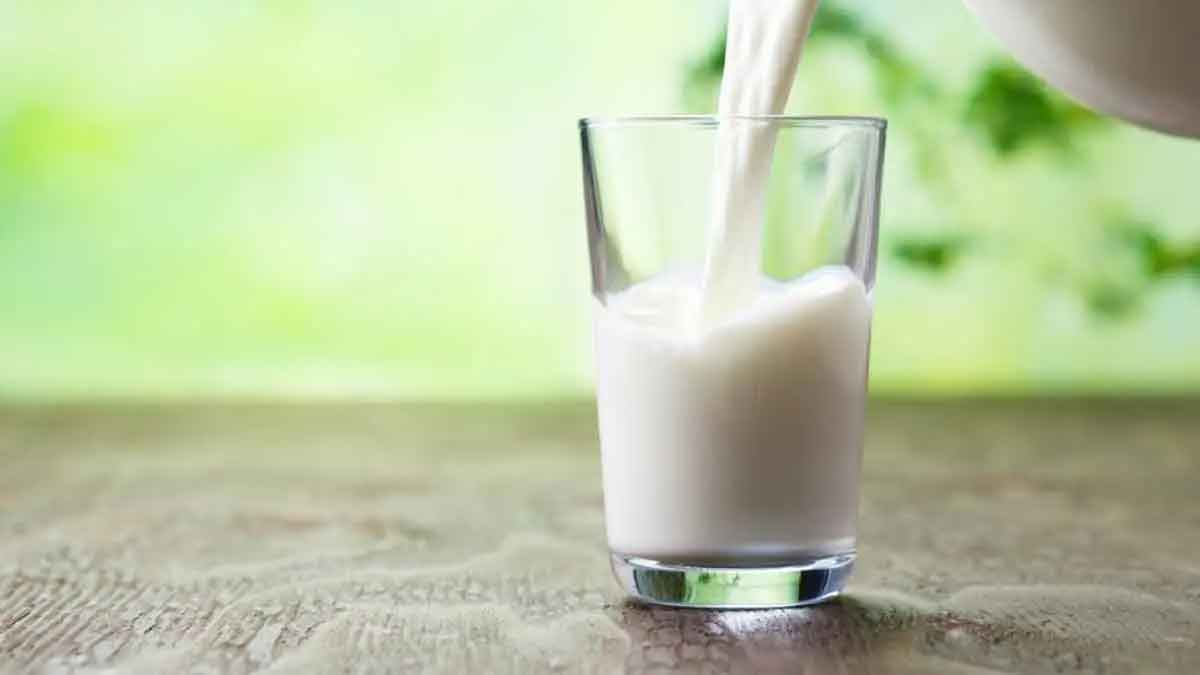 how to identify adulterated milk 