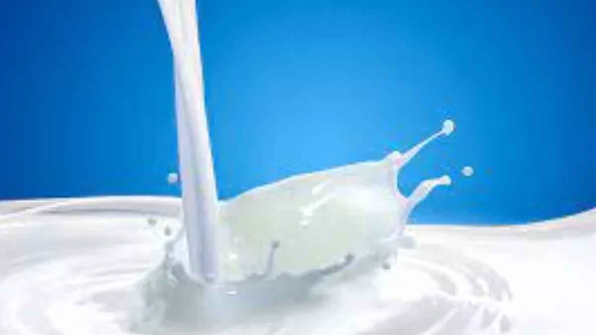 which milk is good for health cold or hot 