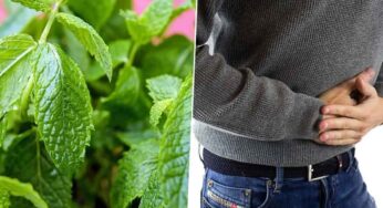 Mint For Indigestion : అజీర్ణం ఇబ్బందుల‌కు గురి చేస్తుందా.. ఈ చిట్కాల‌ను పాటించండి చాలు..!