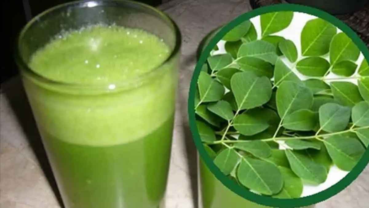 drink moringa leaves juice for weight loss 