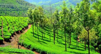 Tourist Places In Munnar : మున్నార్ వెళ్తే ఈ ప్ర‌దేశాల‌ను త‌ప్ప‌క చూడండి..!