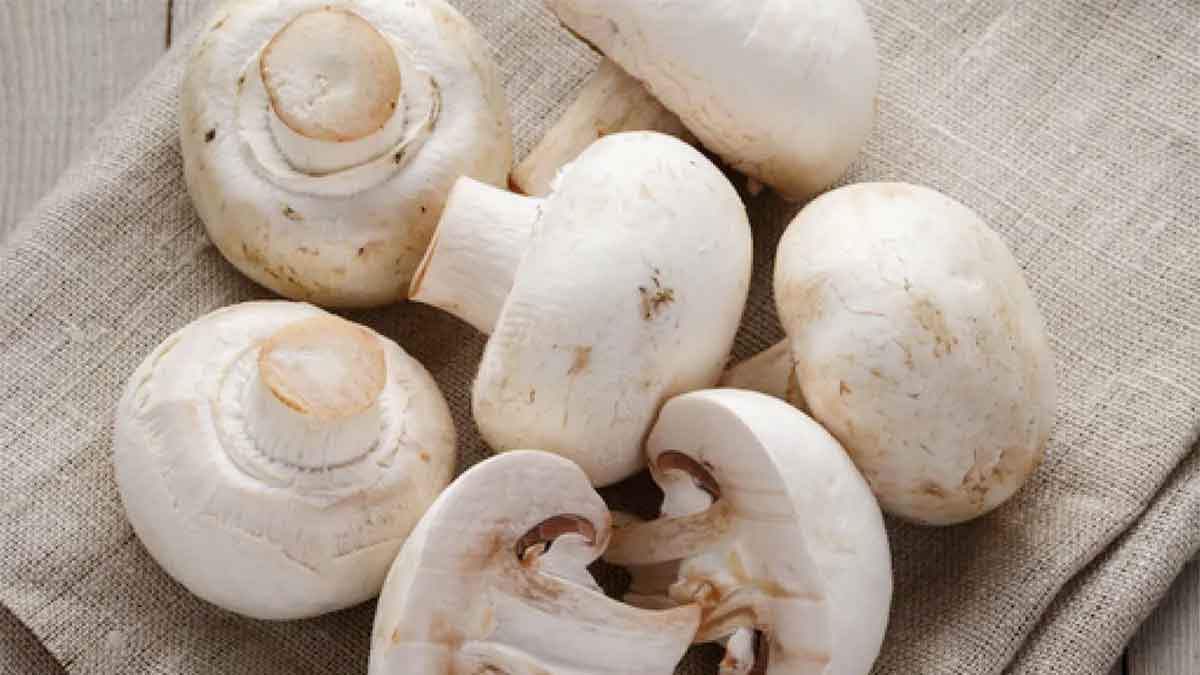 many wonderful health benefits of taking mushrooms 