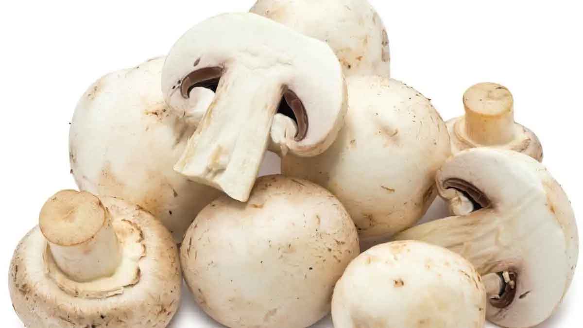 wonderful health benefits of mushrooms 