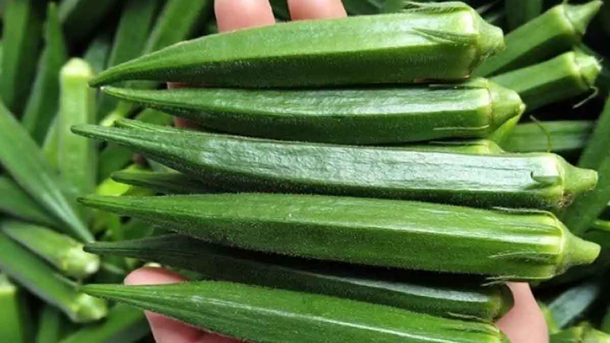 amazing health benefits of okra 