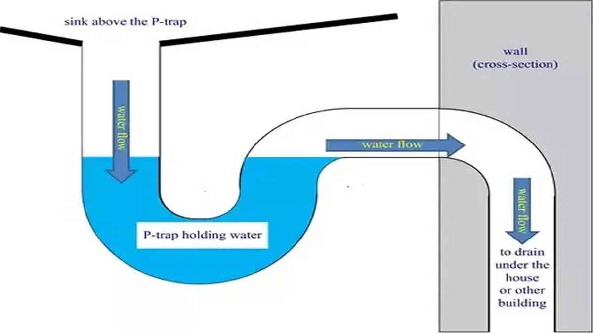 do you know about the p trap of wash basin 