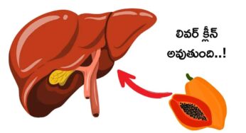 Papaya For Liver Clean : లివ‌ర్ క్లీన్ అవ్వాల‌ని అనుకుంటున్నారా.. అయితే రోజూ బొప్పాయి తినండి..!