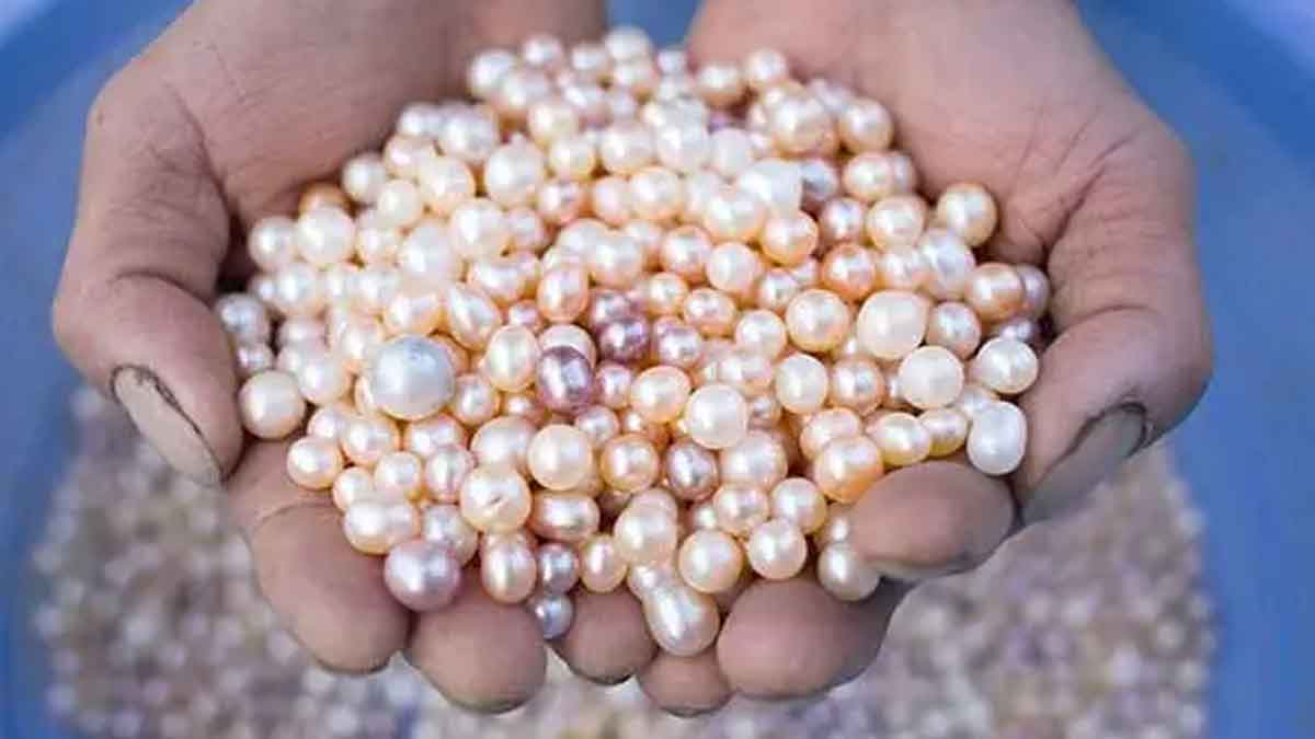 you grow pearls and earn good income 