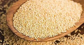 Poppy Seeds : గ‌స‌గ‌సాల‌ను తీసుకుంటే ఇన్ని లాభాలు క‌లుగుతాయా.. ఎవ‌రూ చెప్ప‌లేదే..!