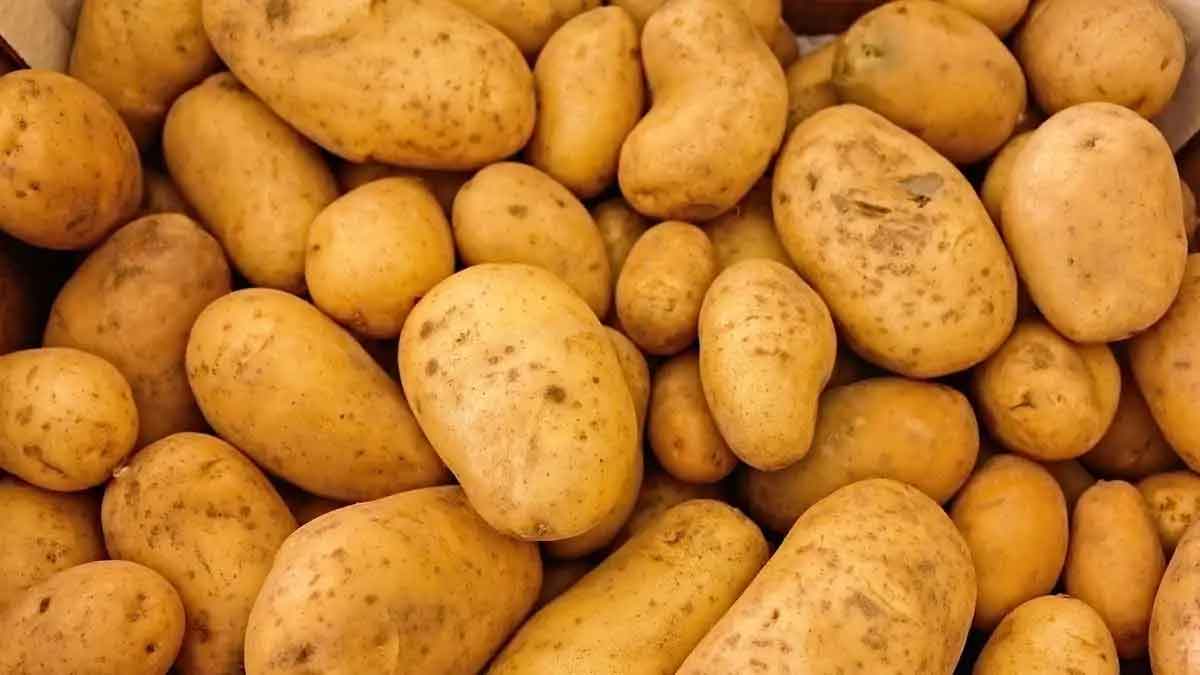 does eating potatoes causes weight gain 