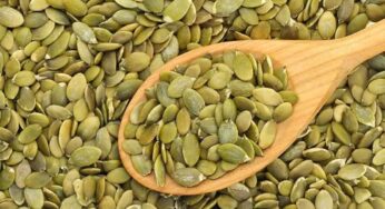 Pumpkin Seeds : గుమ్మ‌డికాయ విత్త‌నాల‌ను నేరుగా తిన‌లేరా.. అయితే ఇలా తినండి..!