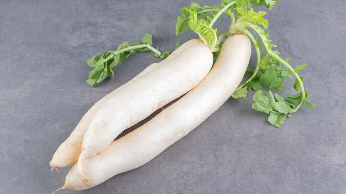 wonderful health benefits of radish 