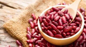 Rajma Beans : వీటిని 12 గంట‌ల‌పాటు నాన‌బెట్టి తినండి.. షుగ‌ర్‌, అధిక బ‌రువు త‌గ్గించుకోవ‌చ్చు..