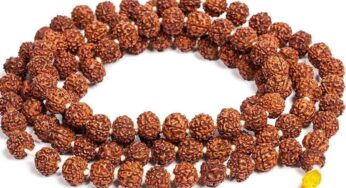 Rudraksha Mala : ఏ సంఖ్య‌లో రుద్రాక్ష‌లు ఉన్న మాల‌తో పూజిస్తే ఎలాంటి ఫ‌లితాలు క‌లుగుతాయో తెలుసా..?