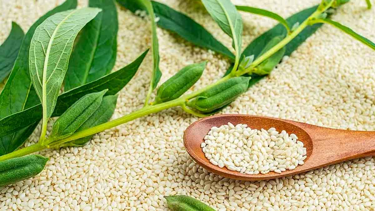 sesame seeds many wonderful health benefits 