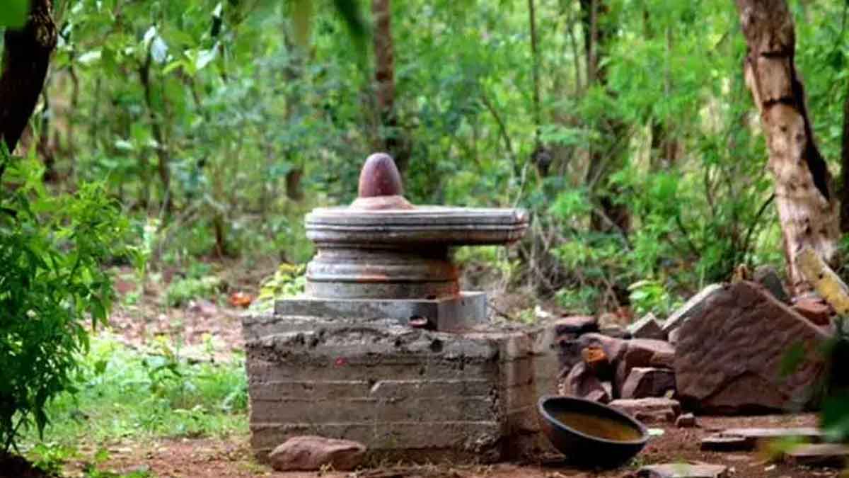 doing pooja to which shiva lingam gives which benefits 